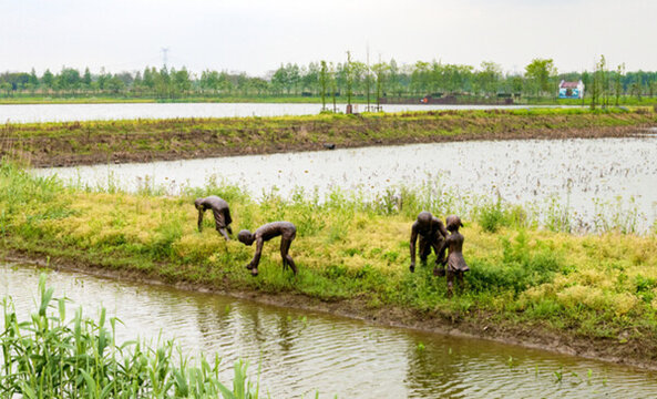 青西郊野公園