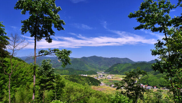 武夷山鎮(zhèn)岑元村