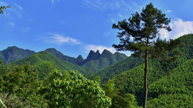 武夷山鎮(zhèn) 蓮花塘
