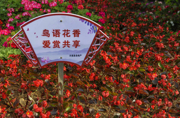 愛護(hù)花草提示牌 溫馨