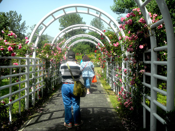 北京植物園