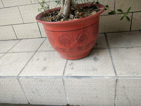 工藝品 瓷器 擺設 餐具 雕