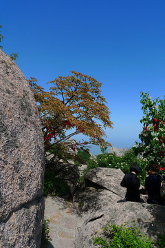 山東省 青島市 嶗山風光