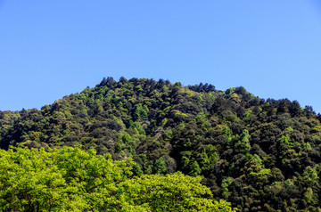 梵凈山