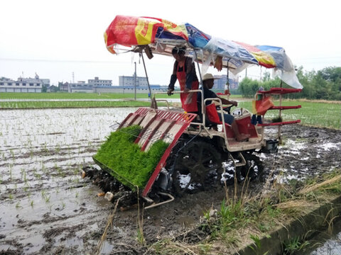 插秧機