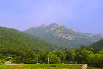 泰山