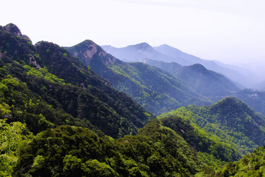 泰山風(fēng)光 一覽眾山小