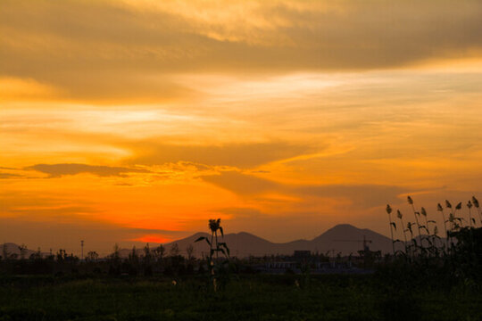 夕陽