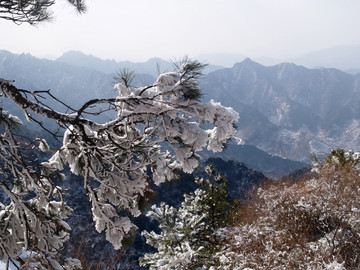 青島市 城陽 三標(biāo)山 雪景
