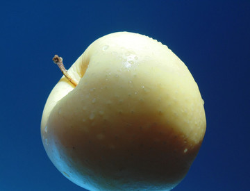 蘋(píng)果
