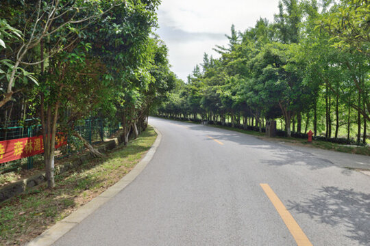 景區(qū)道路