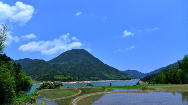 水庫 風景