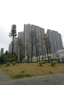 深圳高樓大廈地標建筑風光