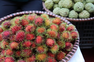 紅毛丹