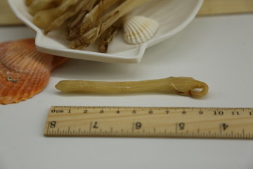 沙蟲干