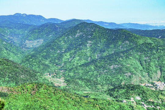 山林 樹林