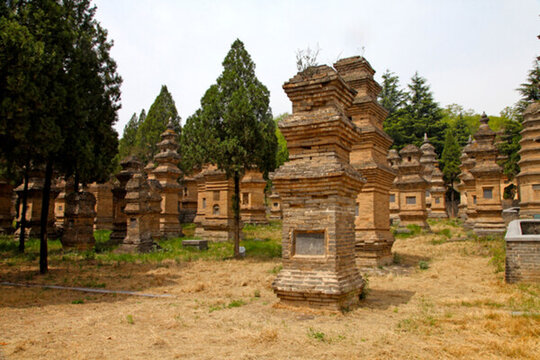 鄭州 登封 嵩山少林寺 塔林