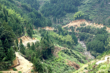 山路 道路 自然 戶外