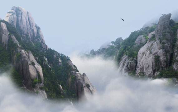 黃山 云霧