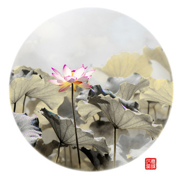 荷花國畫