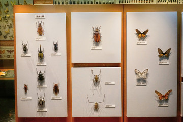 4000萬像素 展館設(shè)計(jì)