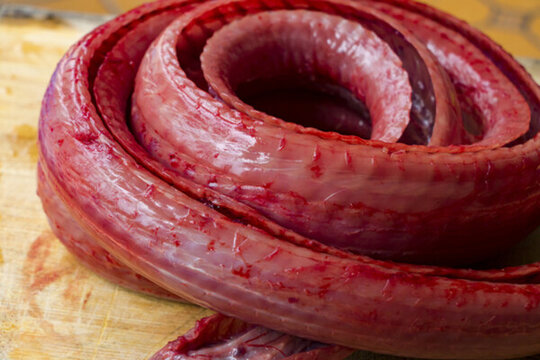 一條蛇肉