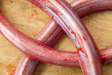 野生蛇肉