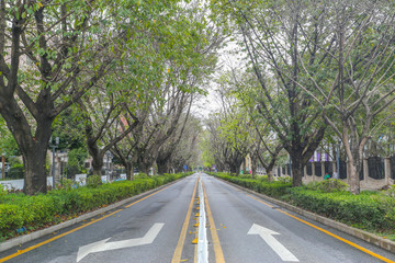 馬路公路