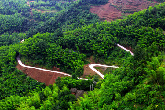 竹海盤山路