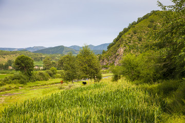 承德 圍場 田園風光