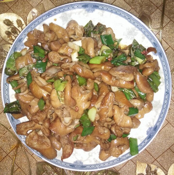 干煸肥腸
