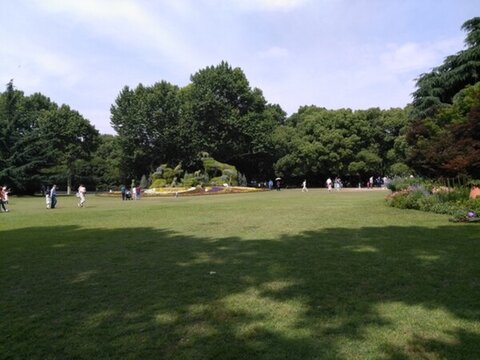 上海動(dòng)物園 草坪