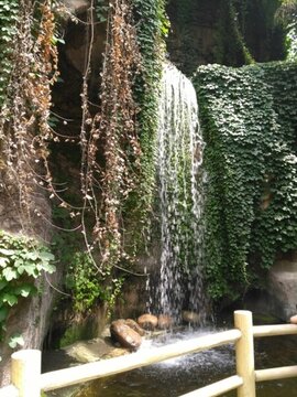 上海動(dòng)物園 瀑布
