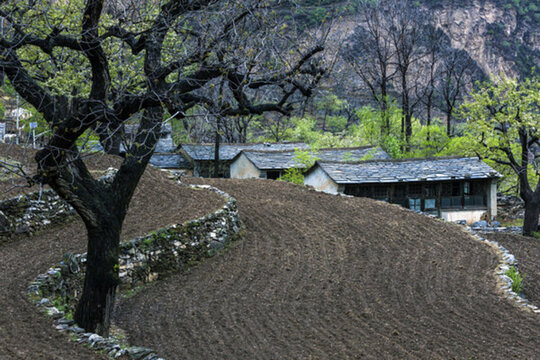梯田與山居