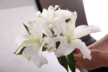 百合花