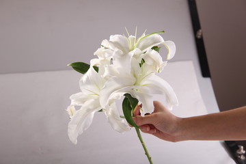 百合花