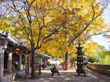 山東 青島 嶗山 華樓宮