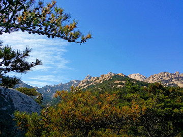 山東省 青島市 嶗山 明道觀