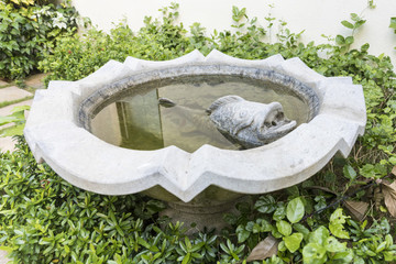 鯉魚水池
