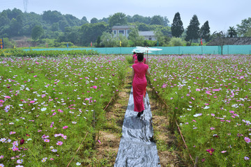 花海 花園
