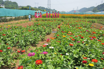 花海 花園
