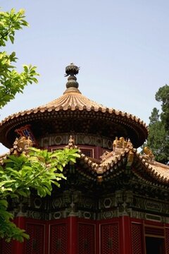 故宮 皇家花園