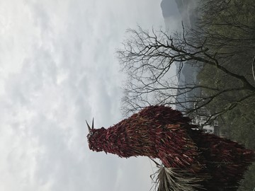 婺源景區(qū)