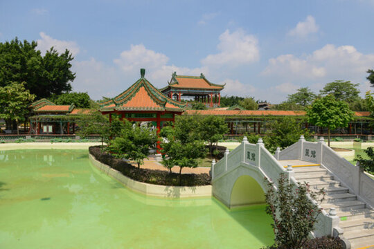 碧池6