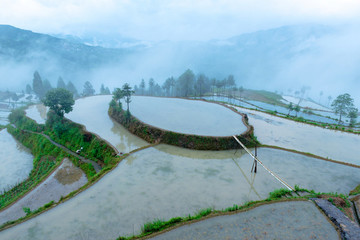 田園風(fēng)光