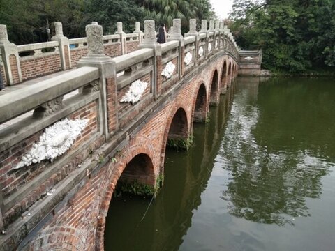 園林 景觀 建筑 園藝 自然