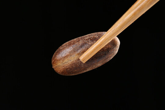 羅漢果