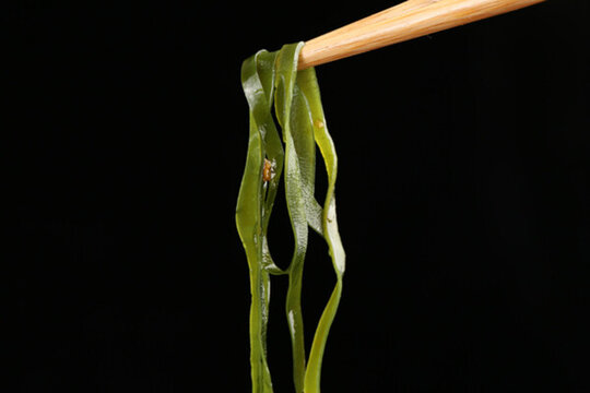 海帶絲