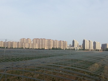 溫室大棚