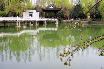 合肥包河公園浮莊